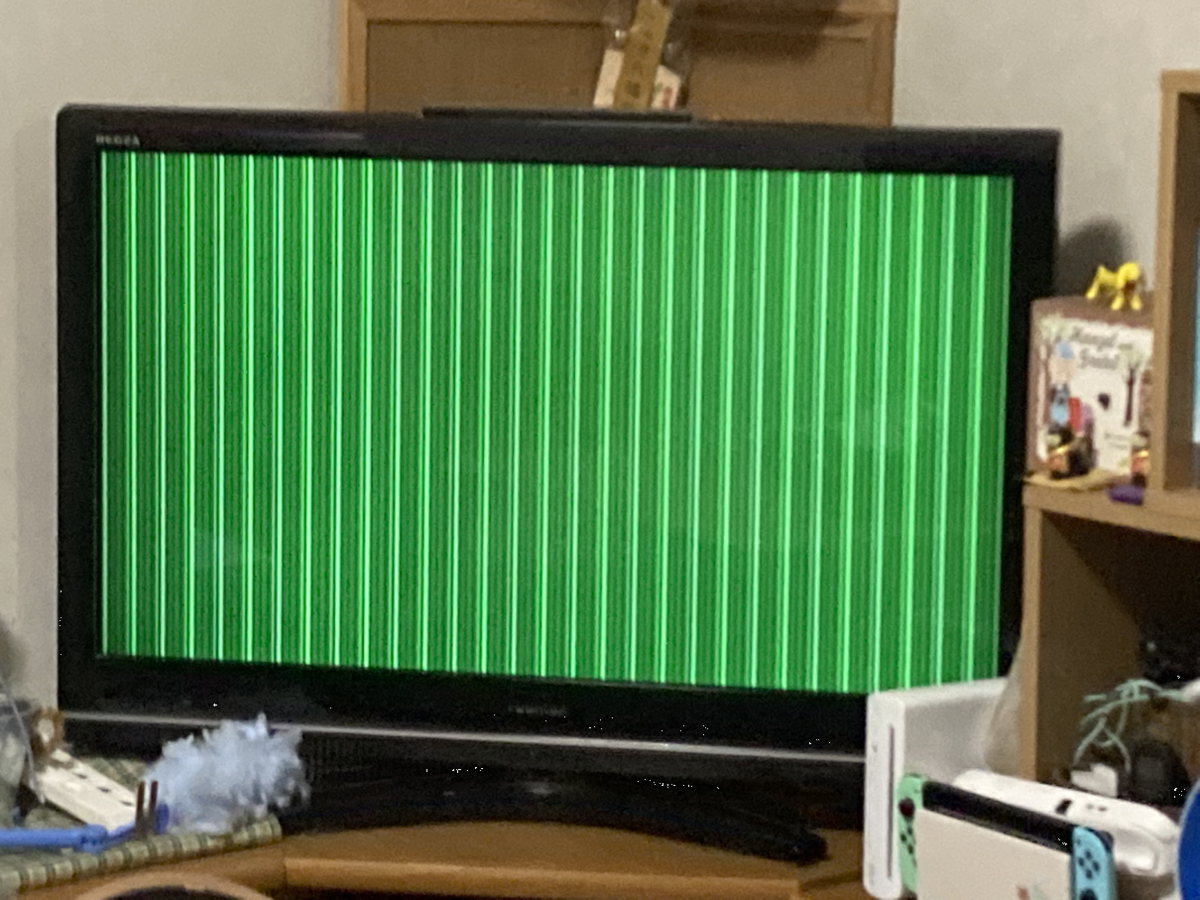 テレビが壊れた - そういうふうに生きている