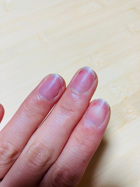 f:id:naoppi33:20210403152842j:plain