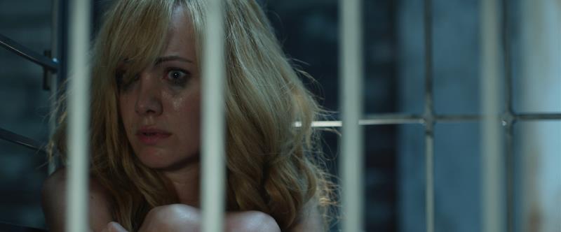 f:id:naoraou:20181103215019j:plain f:id:naoraou:20181103215019j:plain