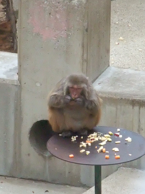 f:id:naosie:20110327153839j:image