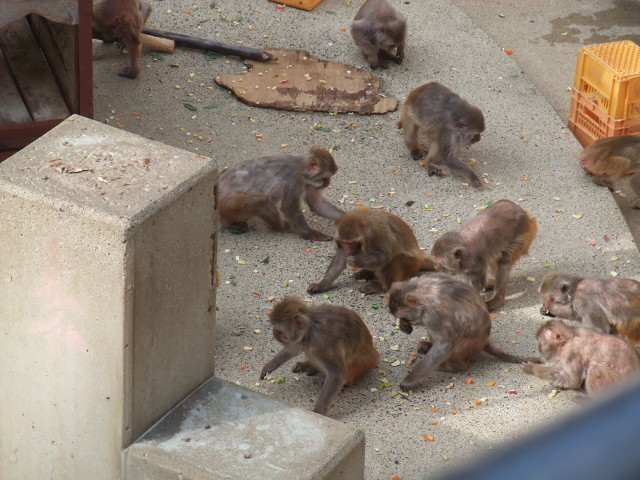 f:id:naosie:20110327153919j:image