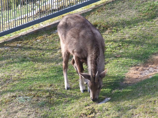 f:id:naosie:20110327155514j:image