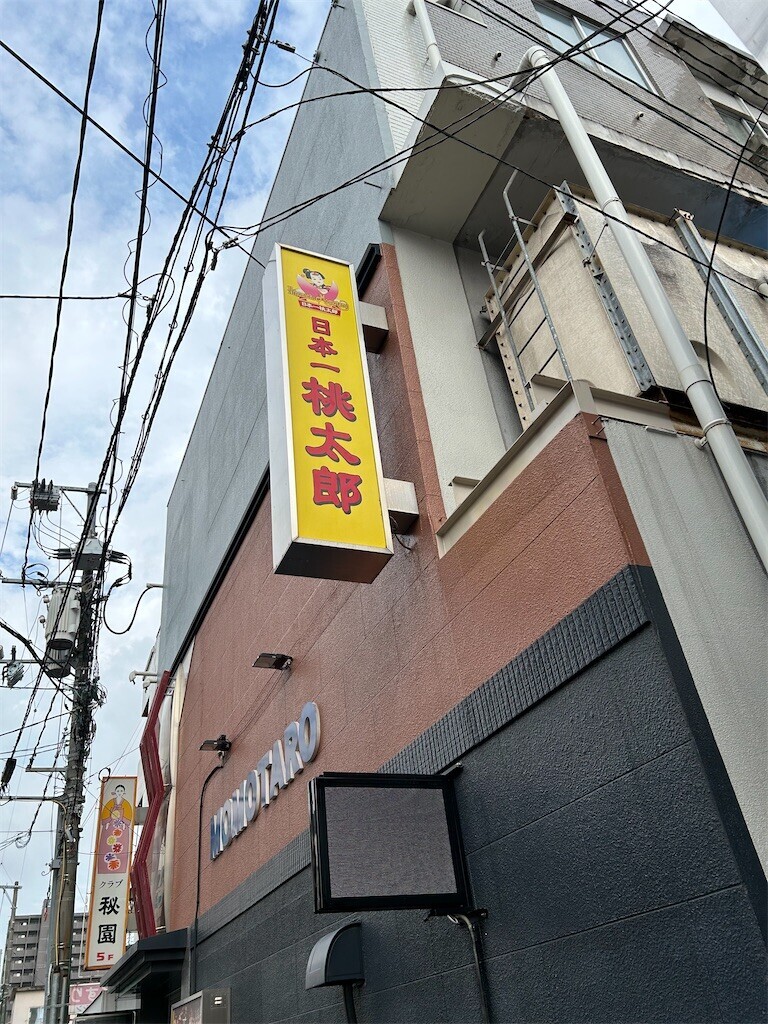 f:id:naosie:20240913175852j:image