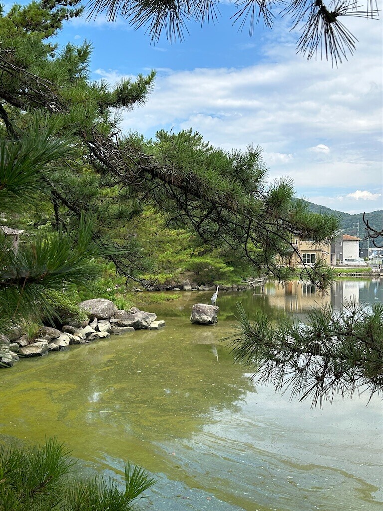 f:id:naosie:20240913184708j:image