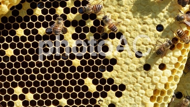 f:id:naosikiko:20180908235333j:plain