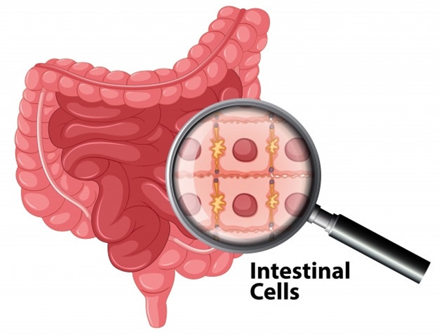 f:id:naosikiko:20201027193034j:plain