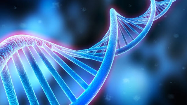 f:id:naosikiko:20220312105437j:plain