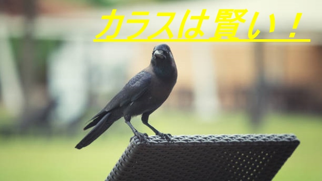 f:id:naosikiko:20220322223200j:plain