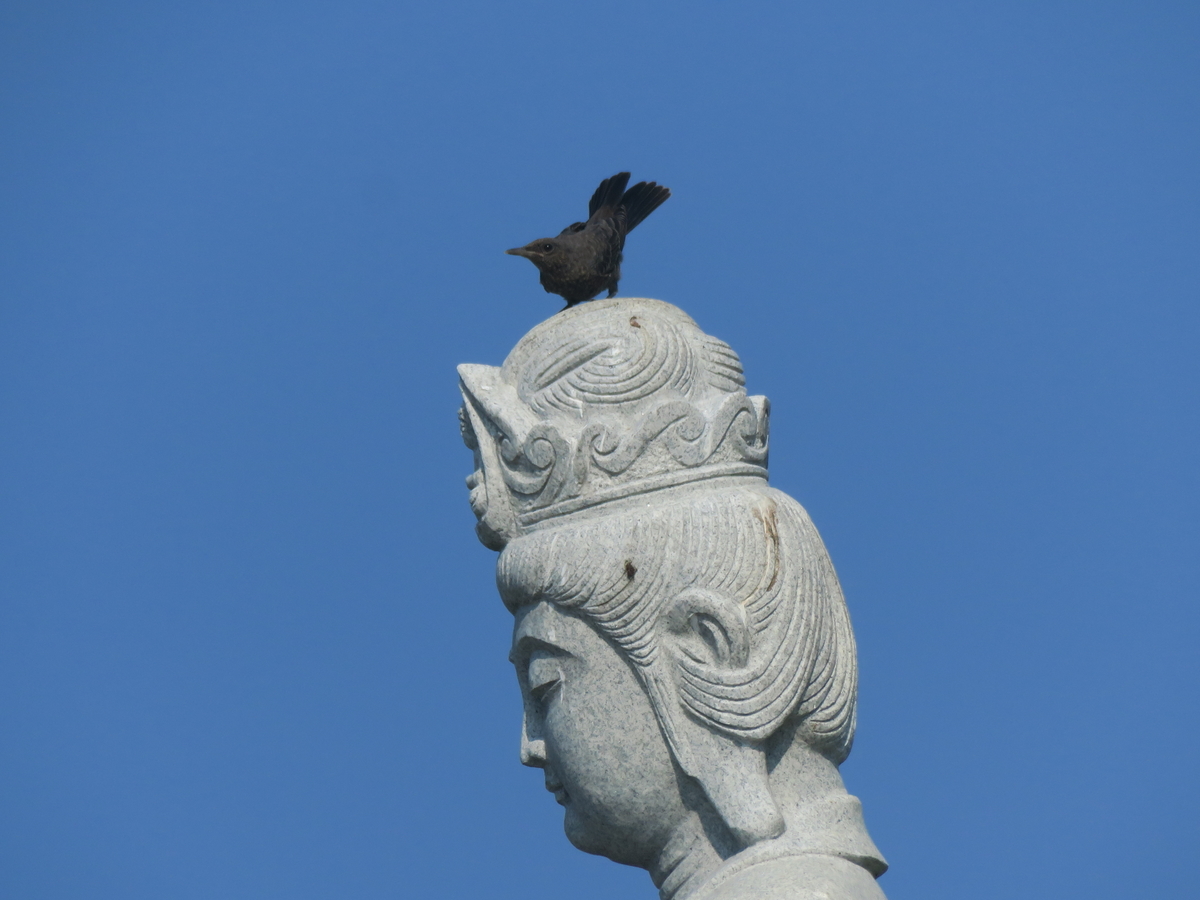 f:id:naosuke21036:20190807170009j:plain f:id:naosuke21036:20190807170009j:plain