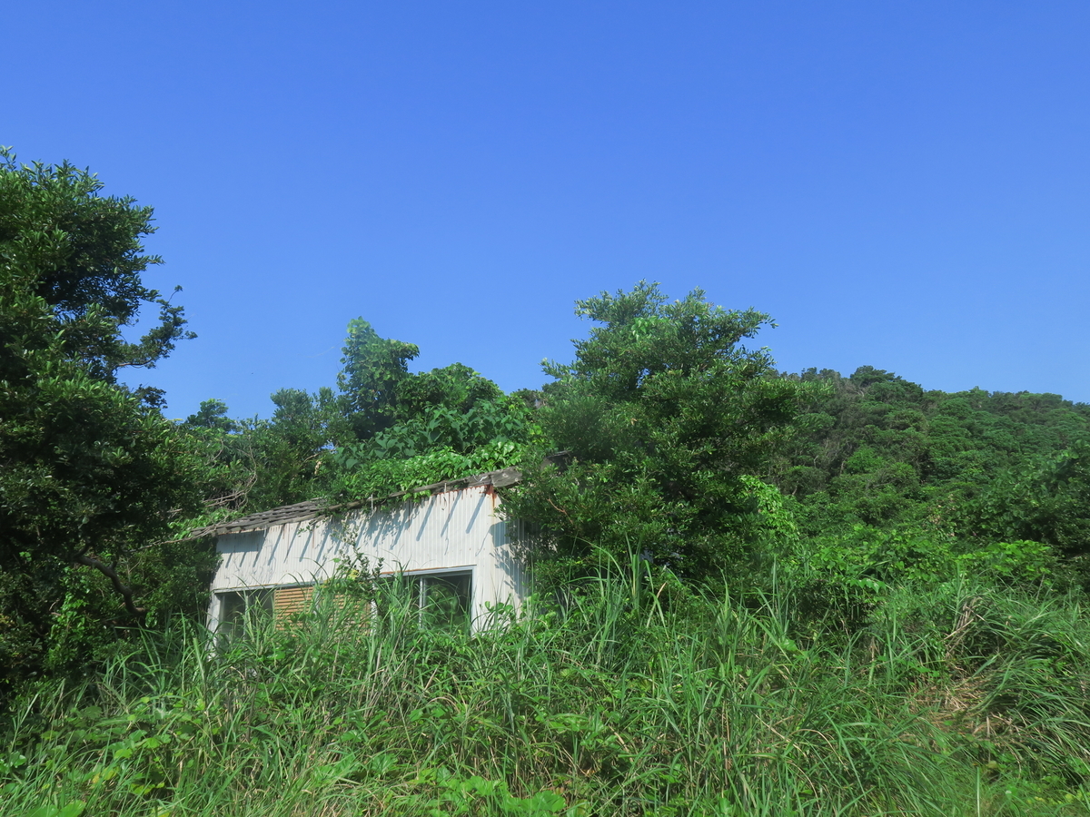 f:id:naosuke21036:20190807171230j:plain f:id:naosuke21036:20190807171230j:plain
