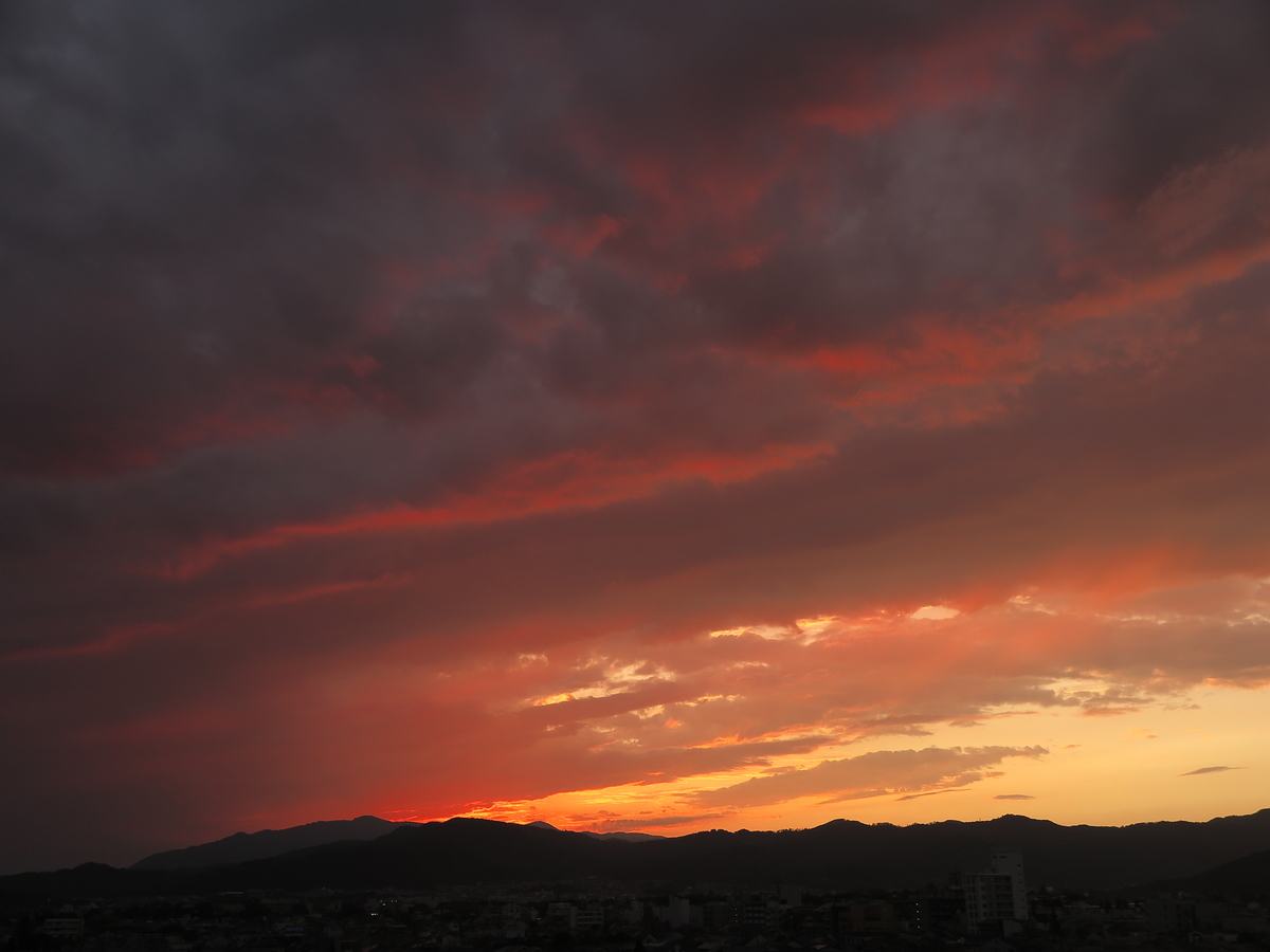 京の晩夏の夕暮れ 光つかまえて 雫と海と季節のフォトブログ