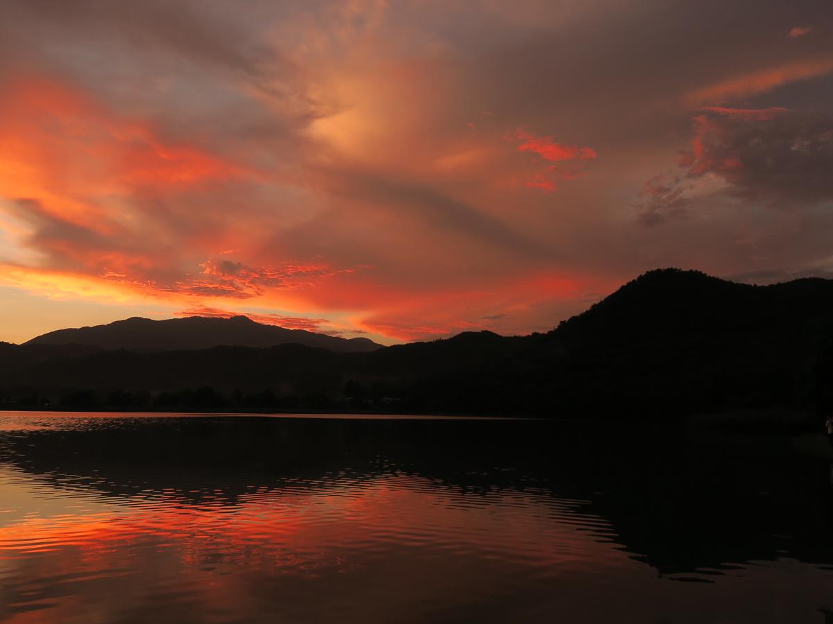 京都嵯峨 広沢池の夕景選 光つかまえて 雫と海と季節のフォトブログ