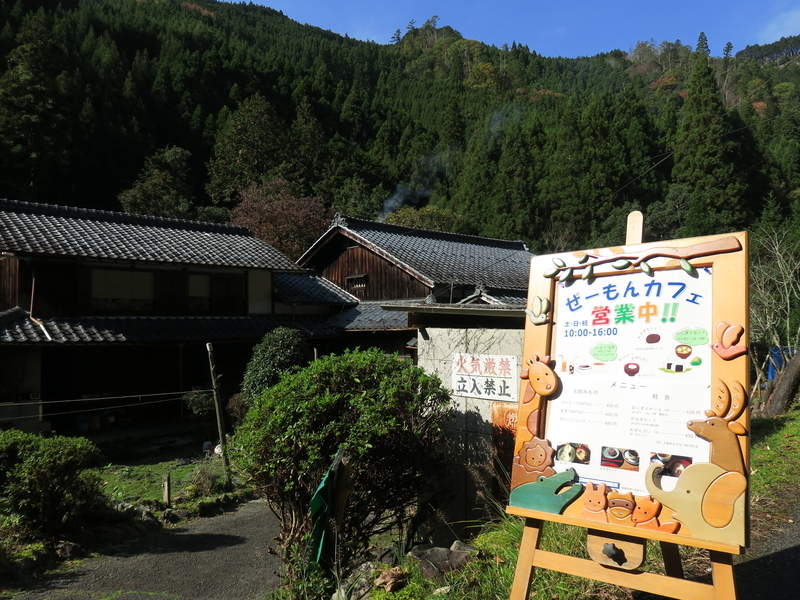 雲ヶ畑から持越峠へ 光つかまえて 雫と海と季節のフォトブログ