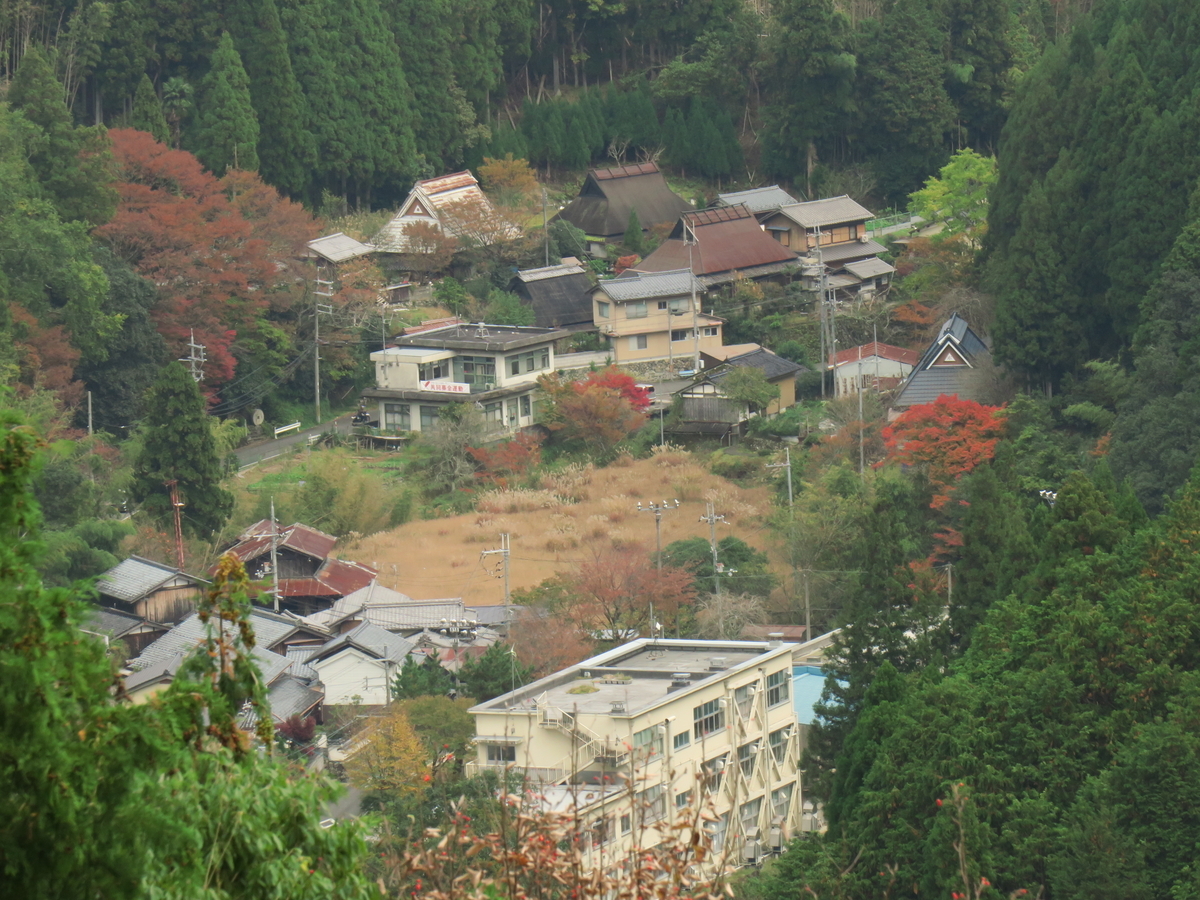 雲ヶ畑から持越峠へ 光つかまえて 雫と海と季節のフォトブログ