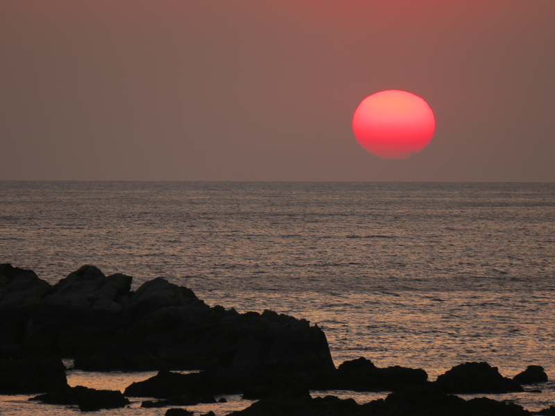 f:id:naosuke21036:20200110121231j:plain f:id:naosuke21036:20200110121231j:plain