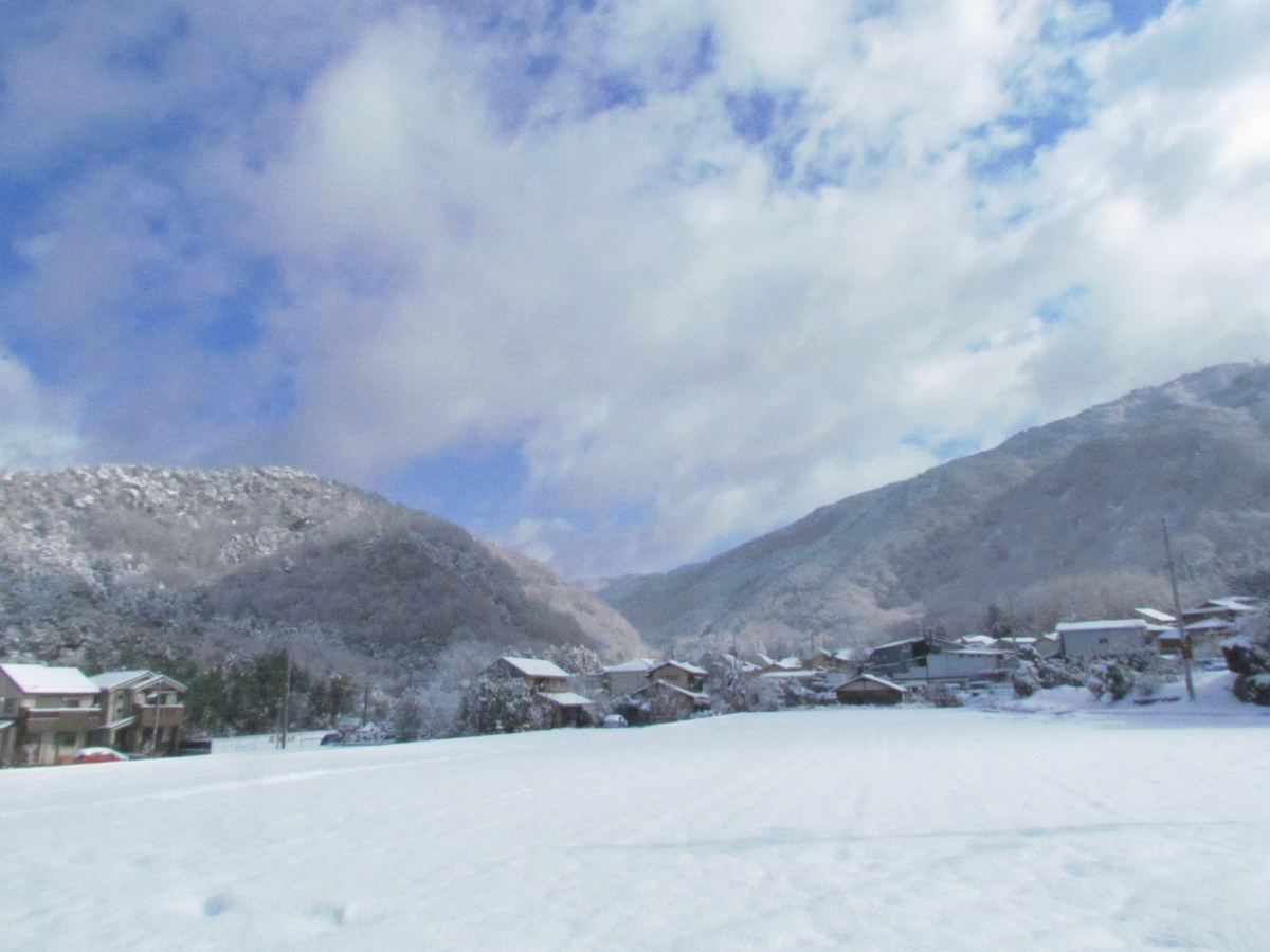 f:id:naosuke21036:20200128192859j:plain