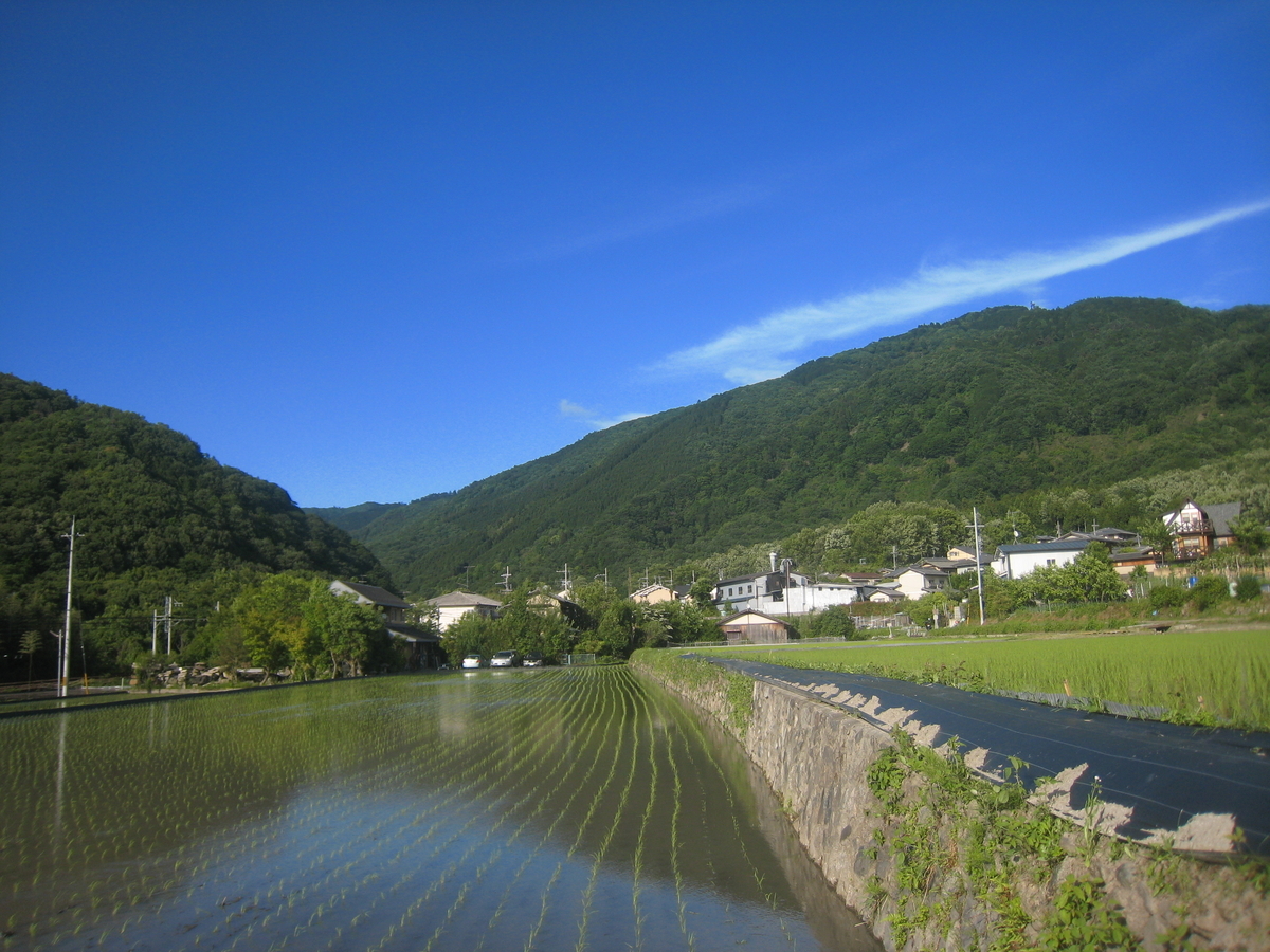 f:id:naosuke21036:20200128192941j:plain