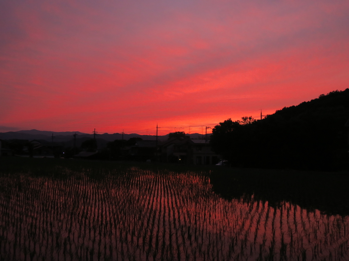 f:id:naosuke21036:20200128192959j:plain