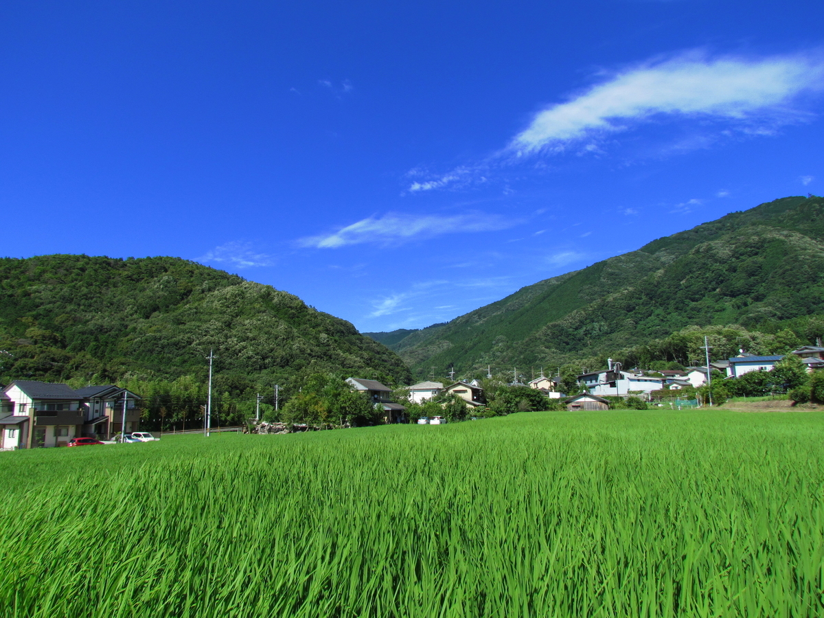 f:id:naosuke21036:20200128193015j:plain