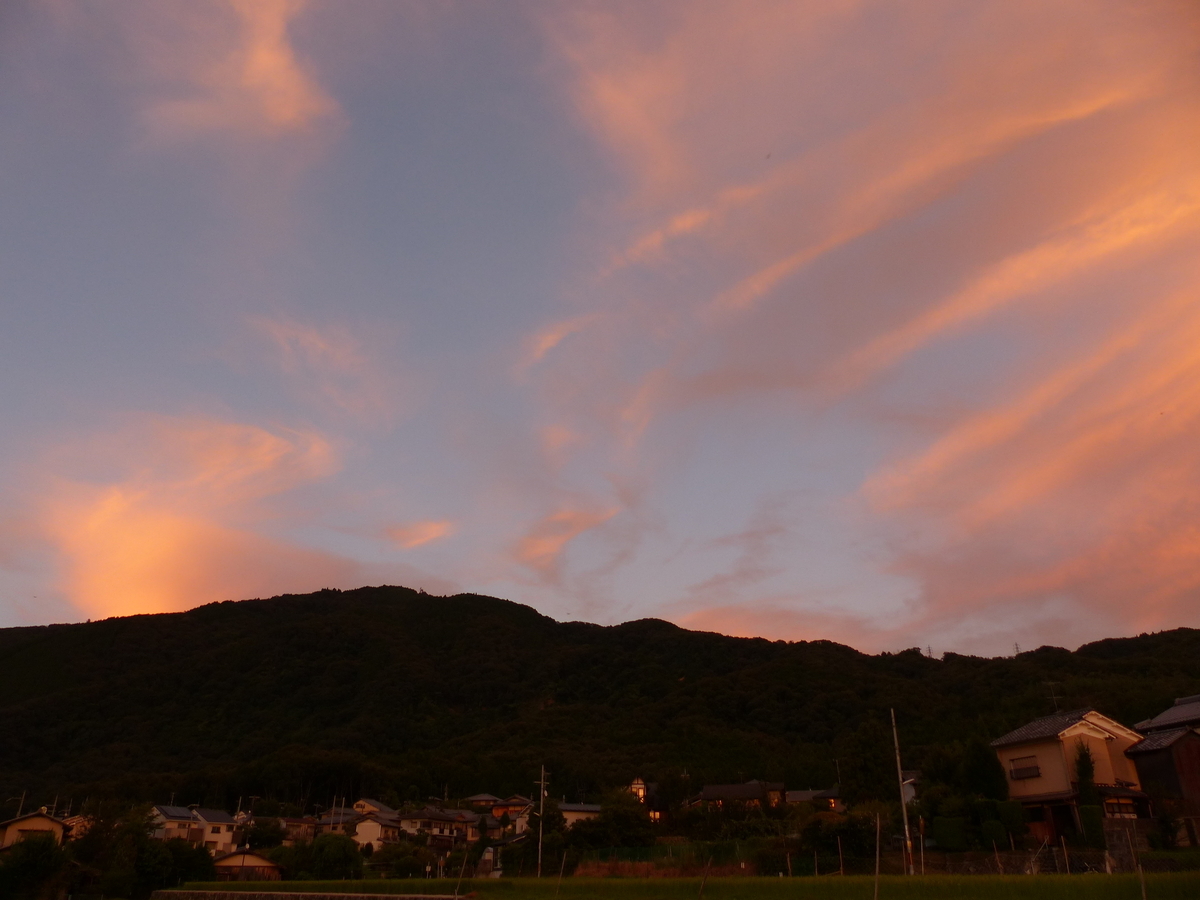 f:id:naosuke21036:20200128193039j:plain