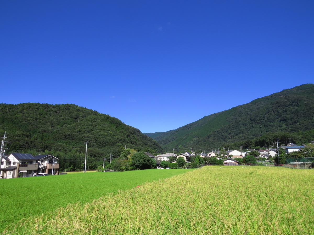 f:id:naosuke21036:20200128193102j:plain