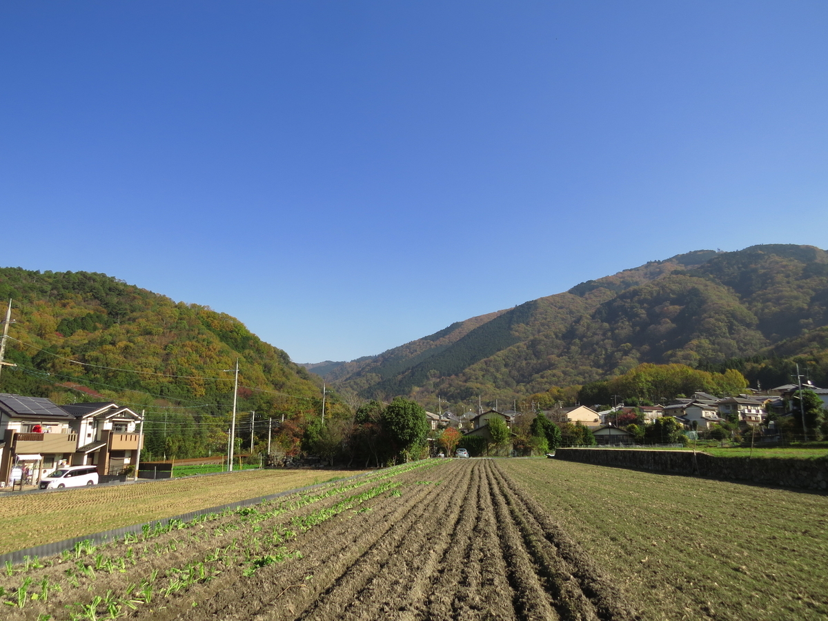 f:id:naosuke21036:20200128193133j:plain