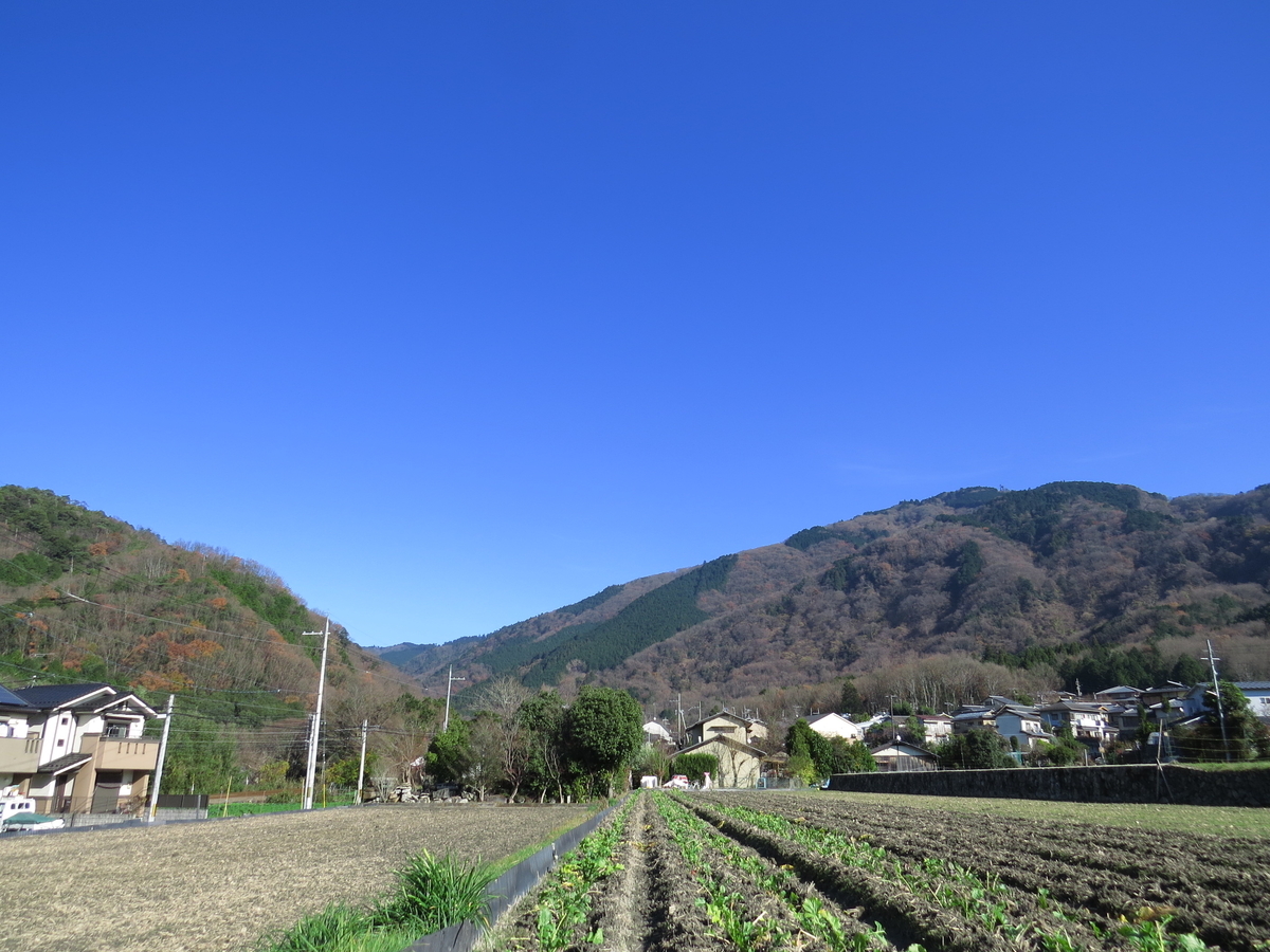 f:id:naosuke21036:20200128193148j:plain