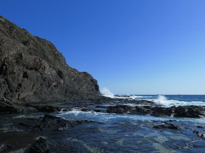 f:id:naosuke21036:20200327110125j:plain