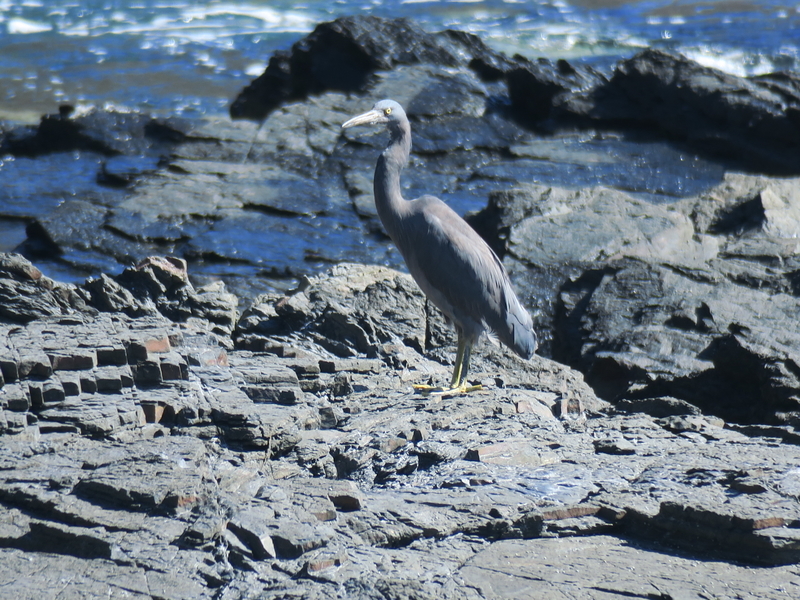 f:id:naosuke21036:20200327110150j:plain