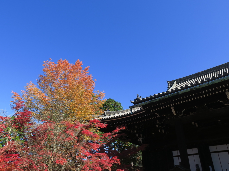 f:id:naosuke21036:20201115180520j:plain