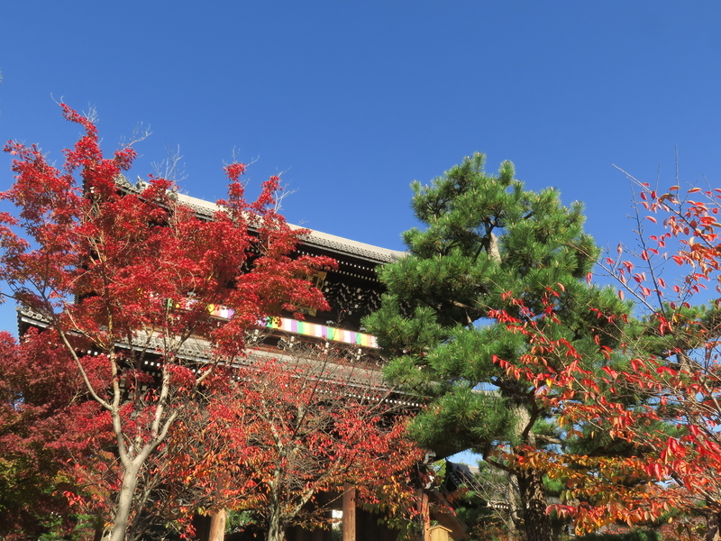 f:id:naosuke21036:20201115180534j:plain