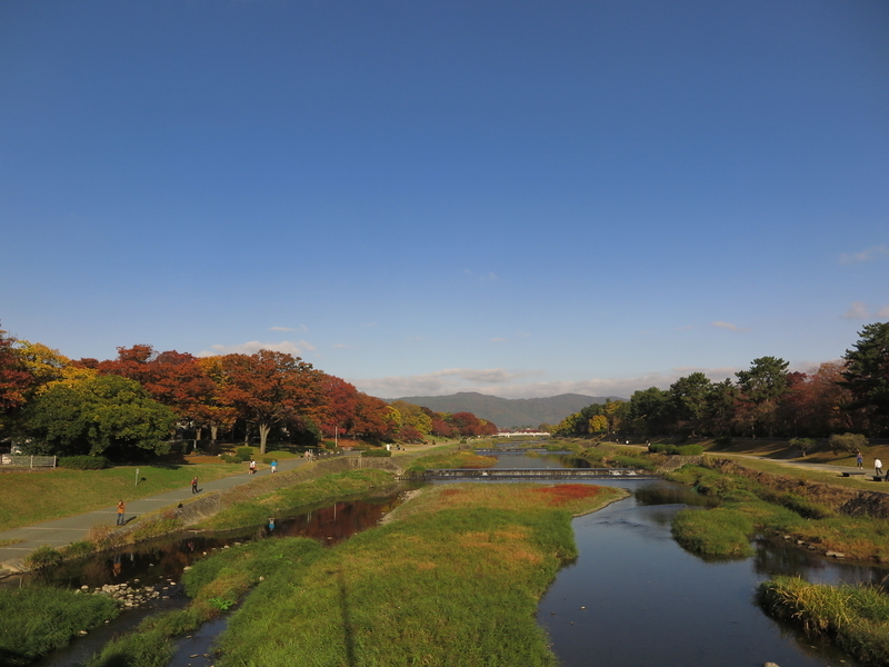 f:id:naosuke21036:20201115182640j:plain