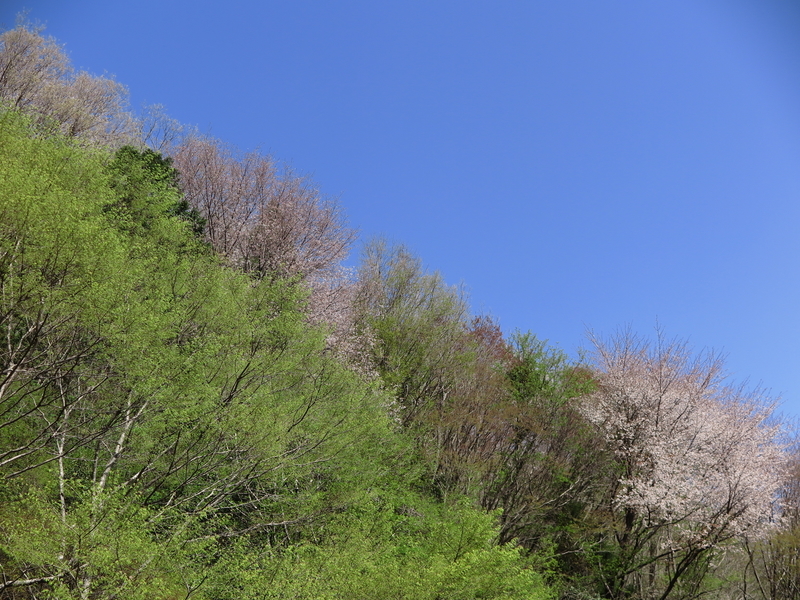f:id:naosuke21036:20211225170356j:plain