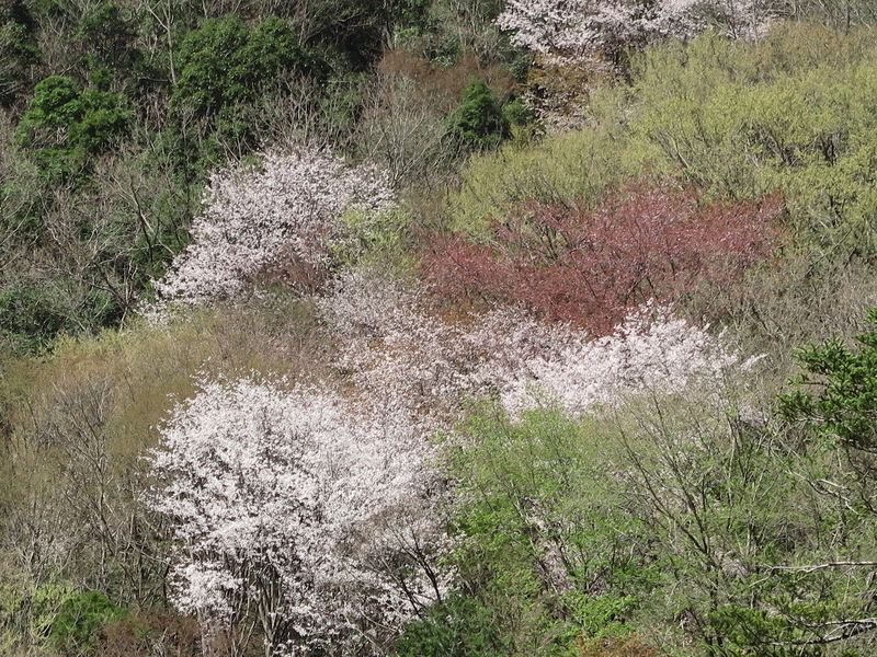 f:id:naosuke21036:20211225170406j:plain
