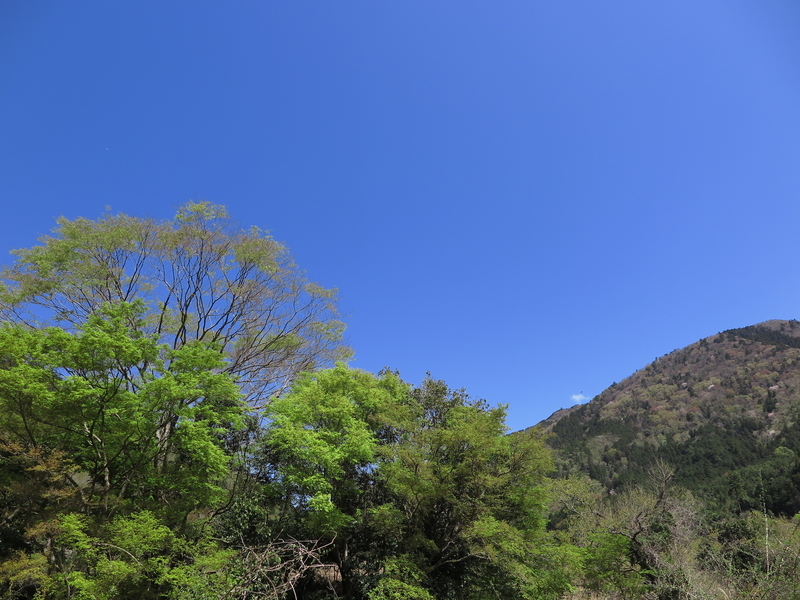 f:id:naosuke21036:20211225170455j:plain