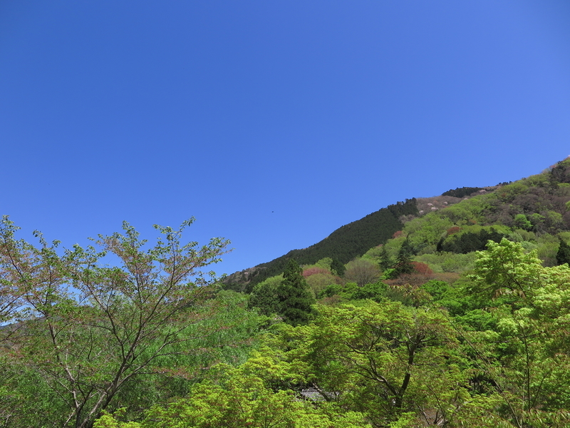 f:id:naosuke21036:20211225170542j:plain
