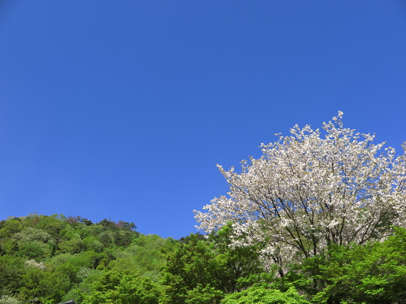 f:id:naosuke21036:20211225170650j:plain