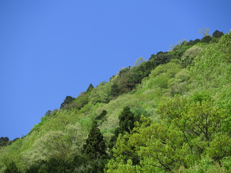 f:id:naosuke21036:20211225170733j:plain