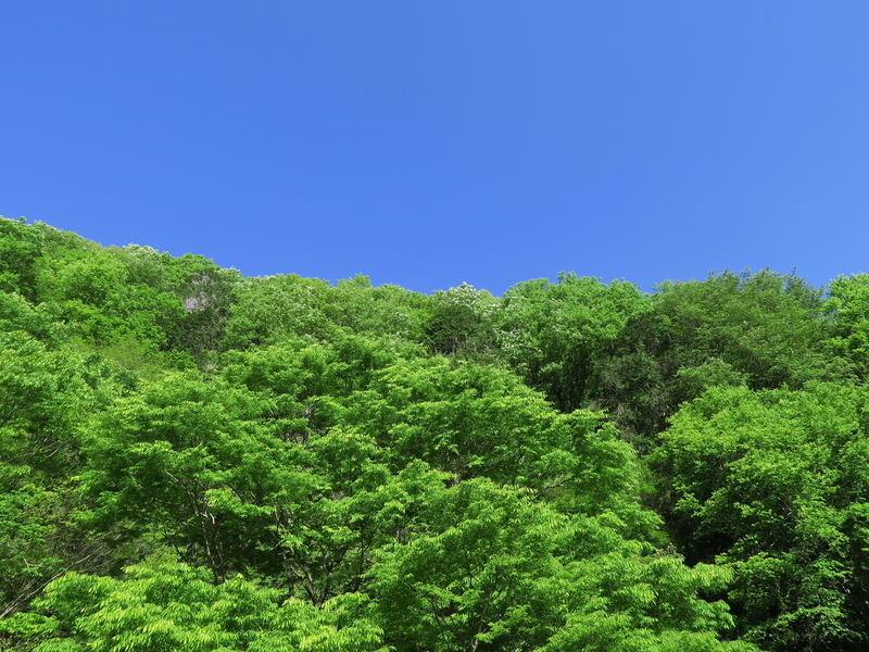 f:id:naosuke21036:20211225170823j:plain