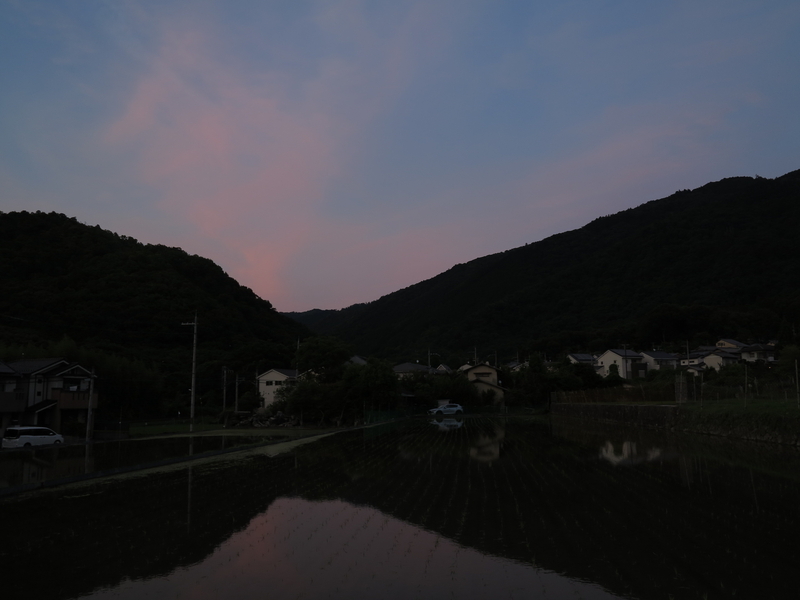 空と光の写真「綺麗な夕焼け」 綺麗な夕焼け(naru1001さん) | αcafe αの写真投稿サイト ｜ ソニー