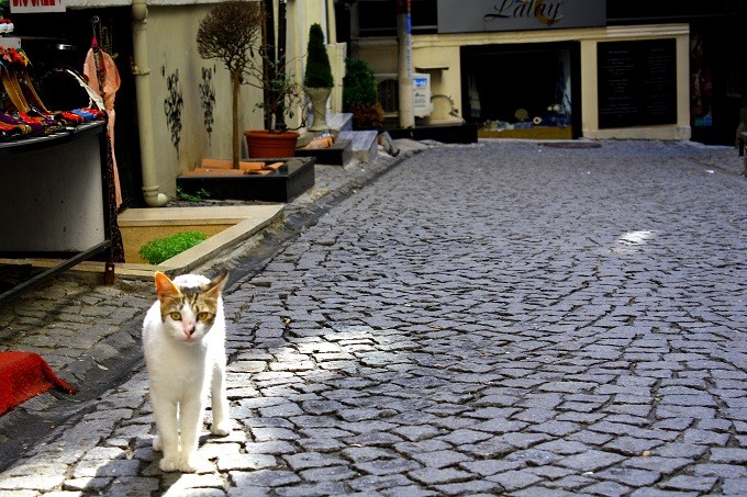 f:id:naotake1974:20120708160339j:image:w640 f:id:naotake1974:20120708160339j:image:w640