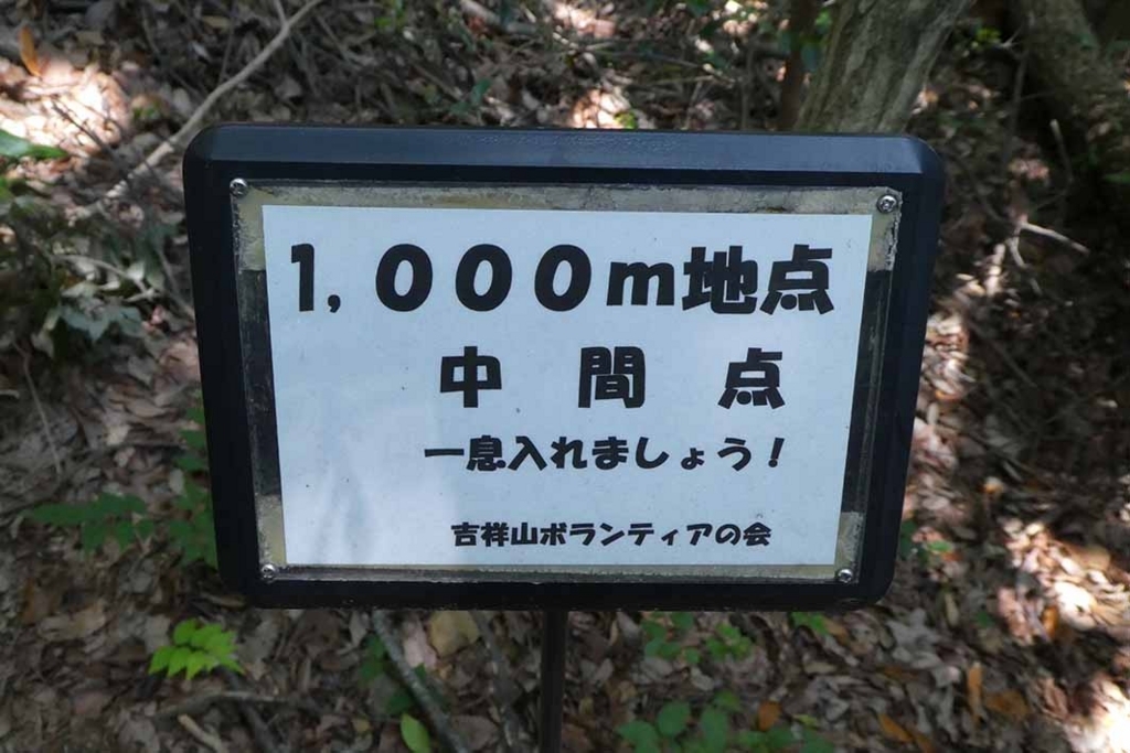 f:id:naotarow:20180603205019j:plain f:id:naotarow:20180603205019j:plain