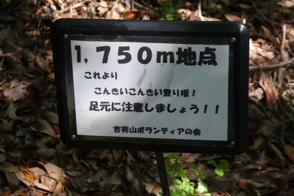 f:id:naotarow:20180603205219j:plain f:id:naotarow:20180603205219j:plain