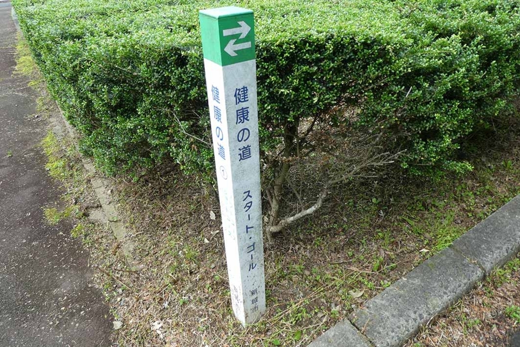f:id:naotarow:20180610225506j:plain f:id:naotarow:20180610225506j:plain