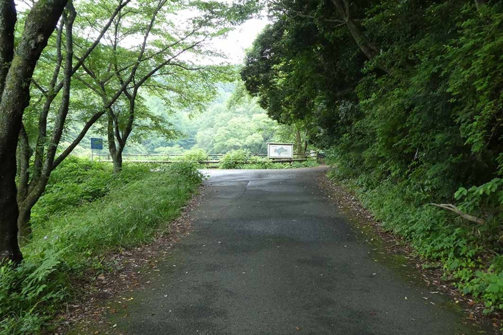 f:id:naotarow:20180610225519j:plain f:id:naotarow:20180610225519j:plain