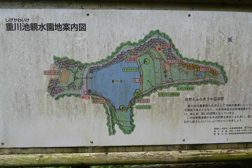 f:id:naotarow:20180610225527j:plain f:id:naotarow:20180610225527j:plain