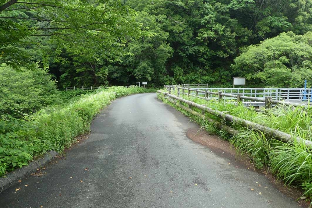 f:id:naotarow:20180610225531j:plain f:id:naotarow:20180610225531j:plain