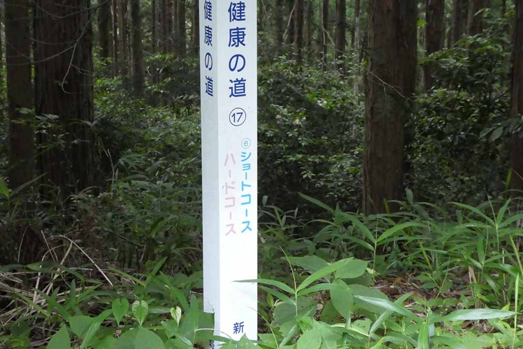 f:id:naotarow:20180610225750j:plain f:id:naotarow:20180610225750j:plain
