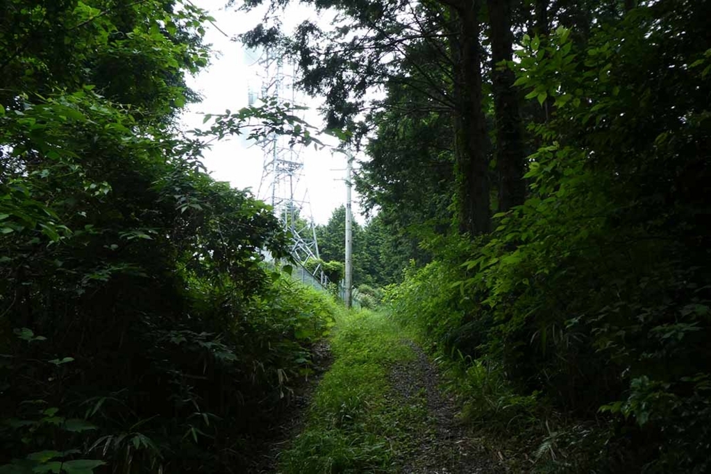 f:id:naotarow:20180610225905j:plain f:id:naotarow:20180610225905j:plain