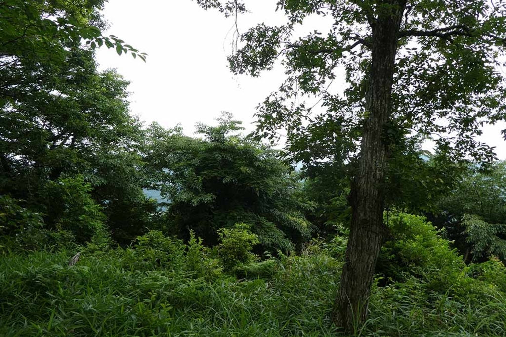 f:id:naotarow:20180610230201j:plain f:id:naotarow:20180610230201j:plain